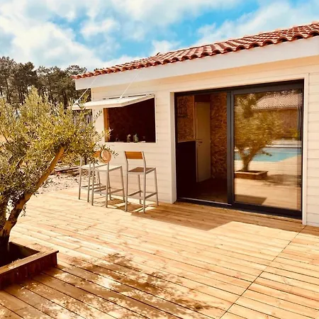 Villashomeclet - Palm Villa Vensac