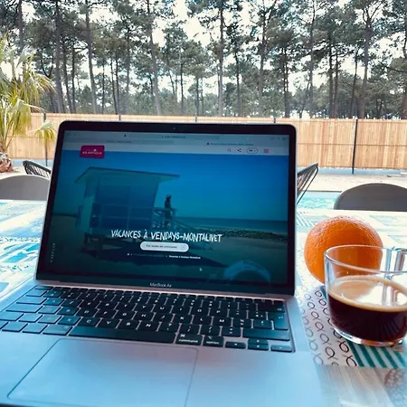 Villashomeclet - Palm Villa Vensac