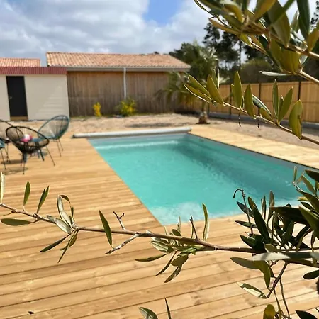 Villashomeclet - Palm