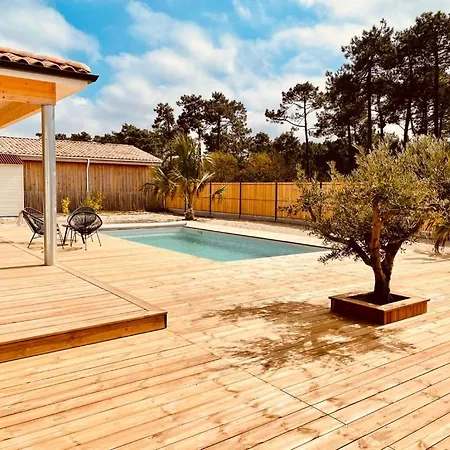 Villashomeclet - Palm Villa Vensac