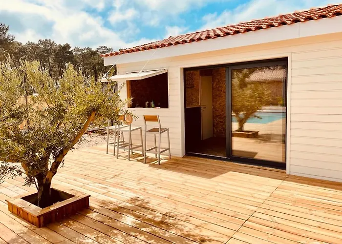 Villashomeclet - Palm Villa Vensac