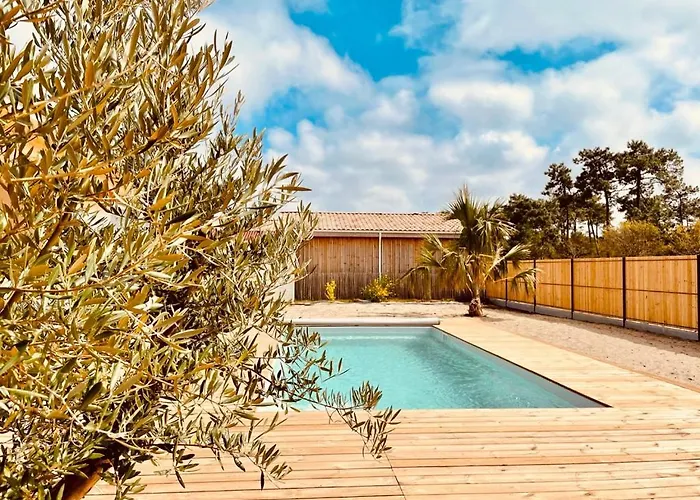 Villashomeclet - Palm