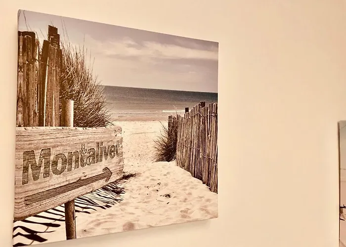 Villashomeclet - Palm