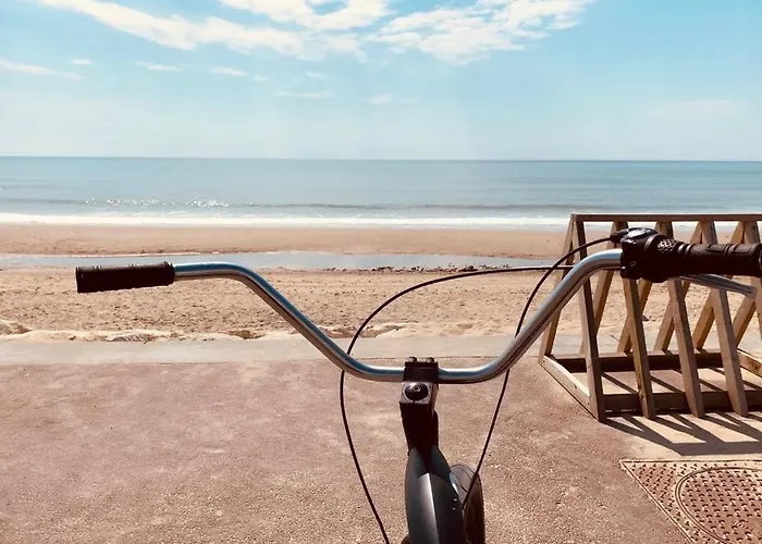 Villa Villashomeclet - Palm